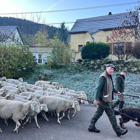 Gite De Montagne -Bellefosse Alsace Bagian luar foto