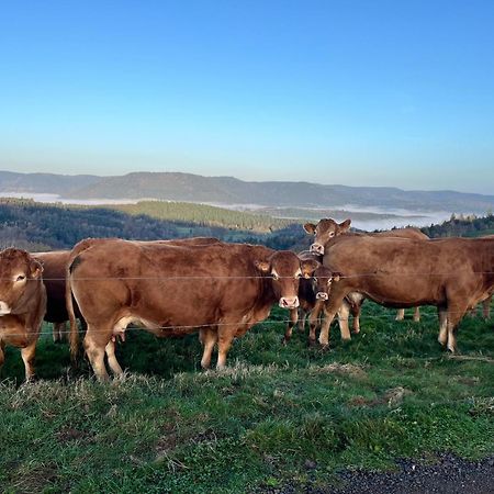 Gite De Montagne -Bellefosse Alsace Bagian luar foto