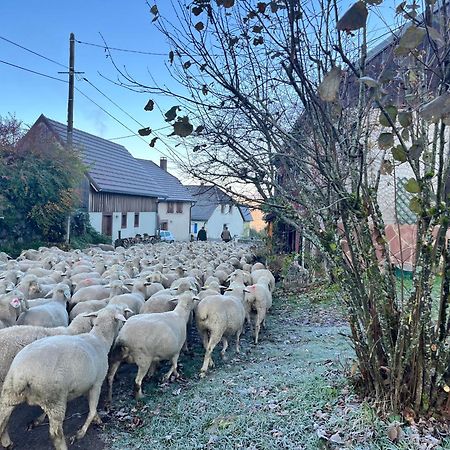 Gite De Montagne -Bellefosse Alsace Bagian luar foto