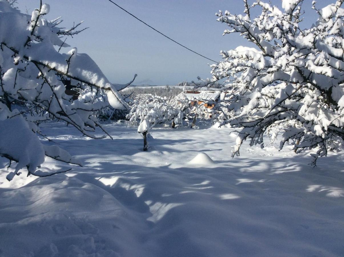 Gite De Montagne -Bellefosse Alsace Bagian luar foto