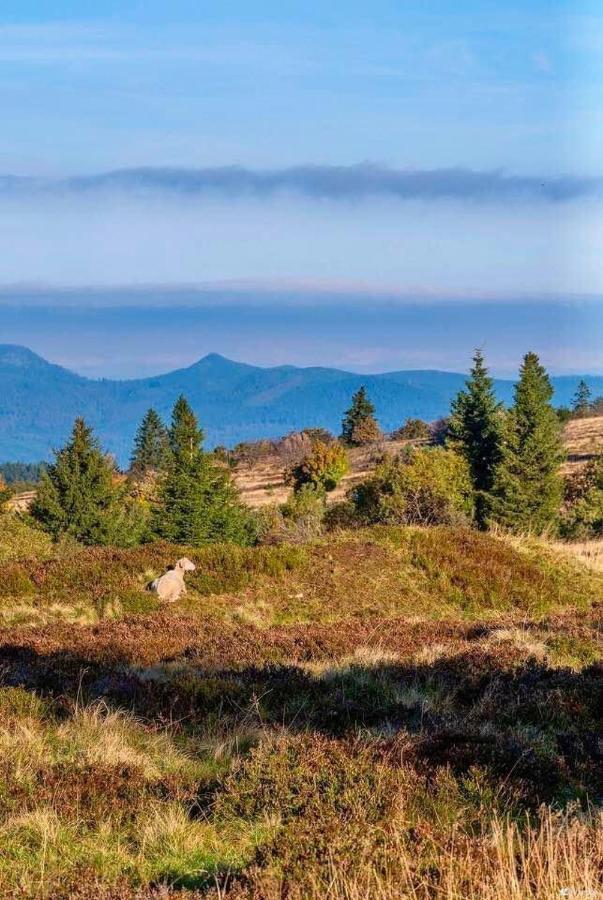 Gite De Montagne -Bellefosse Alsace Bagian luar foto