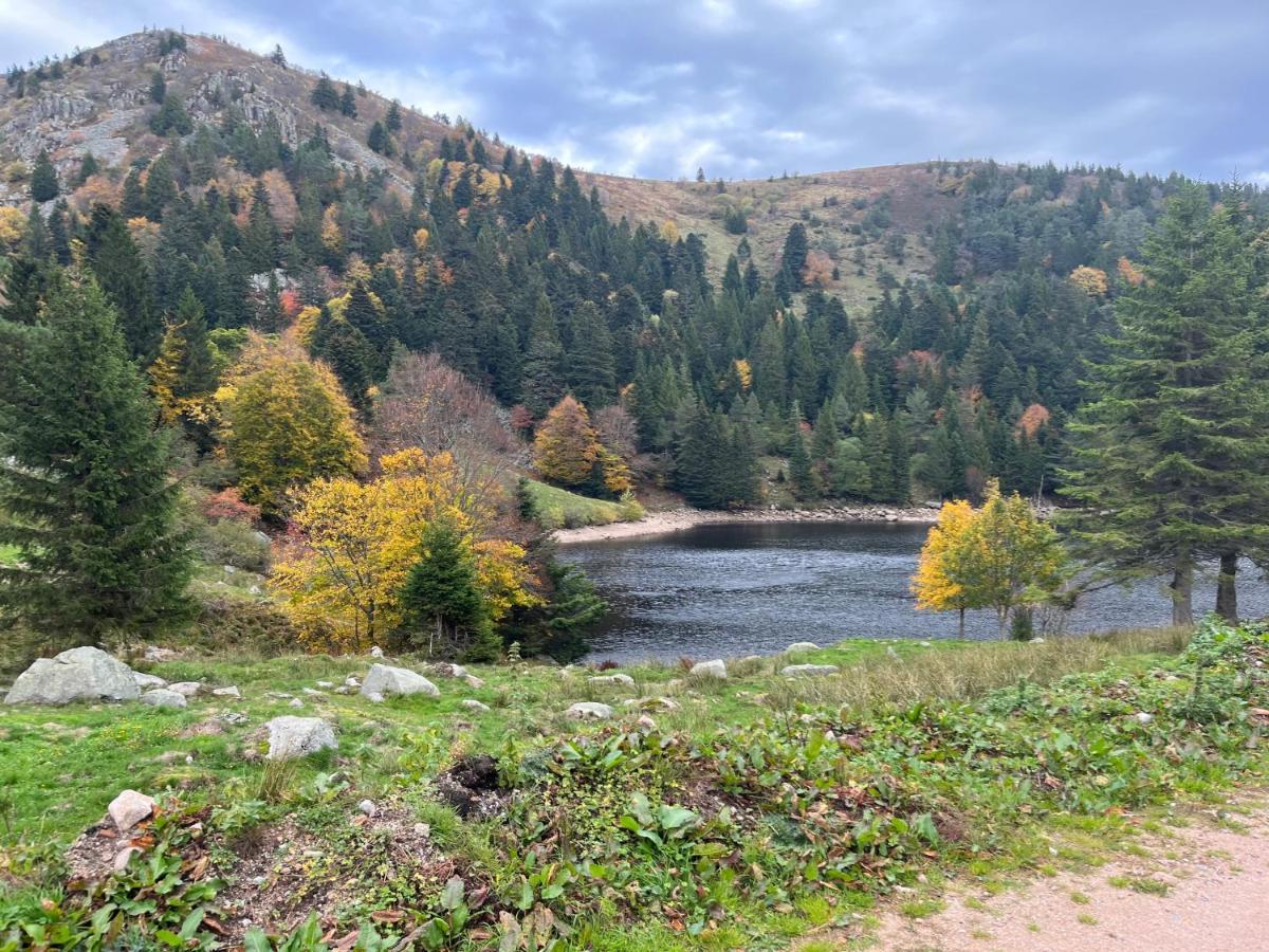 Gite De Montagne -Bellefosse Alsace Bagian luar foto