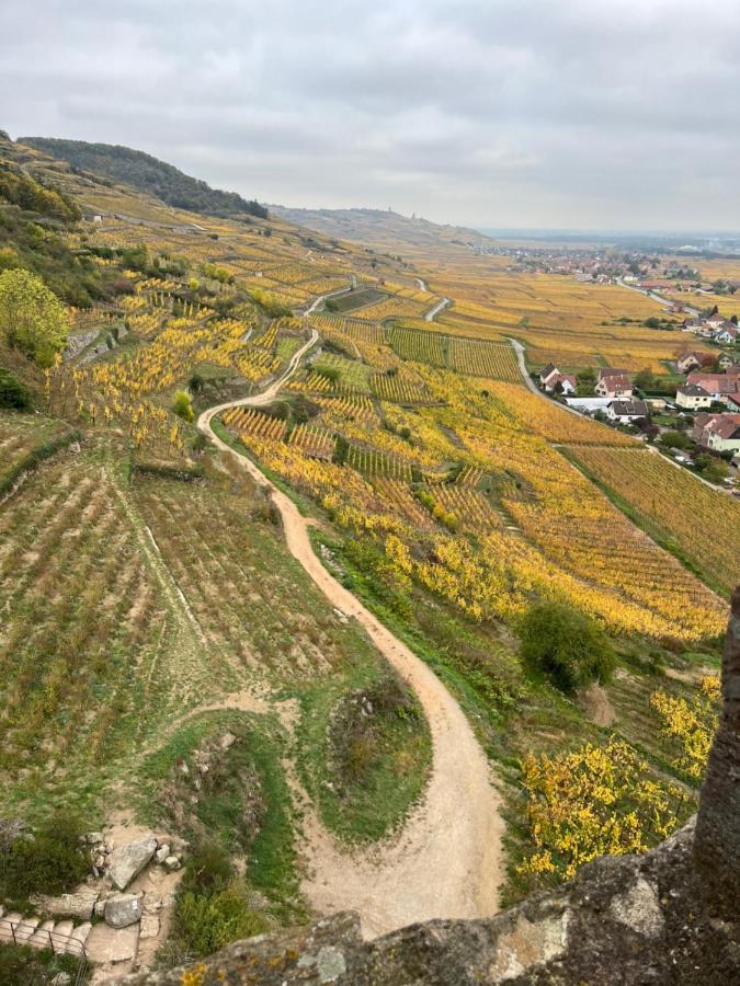 Gite De Montagne -Bellefosse Alsace Bagian luar foto