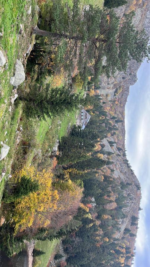 Gite De Montagne -Bellefosse Alsace Bagian luar foto