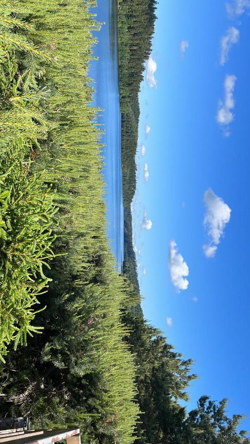 Gite De Montagne -Bellefosse Alsace Bagian luar foto