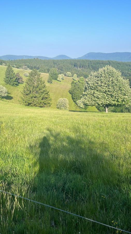 Gite De Montagne -Bellefosse Alsace Bagian luar foto