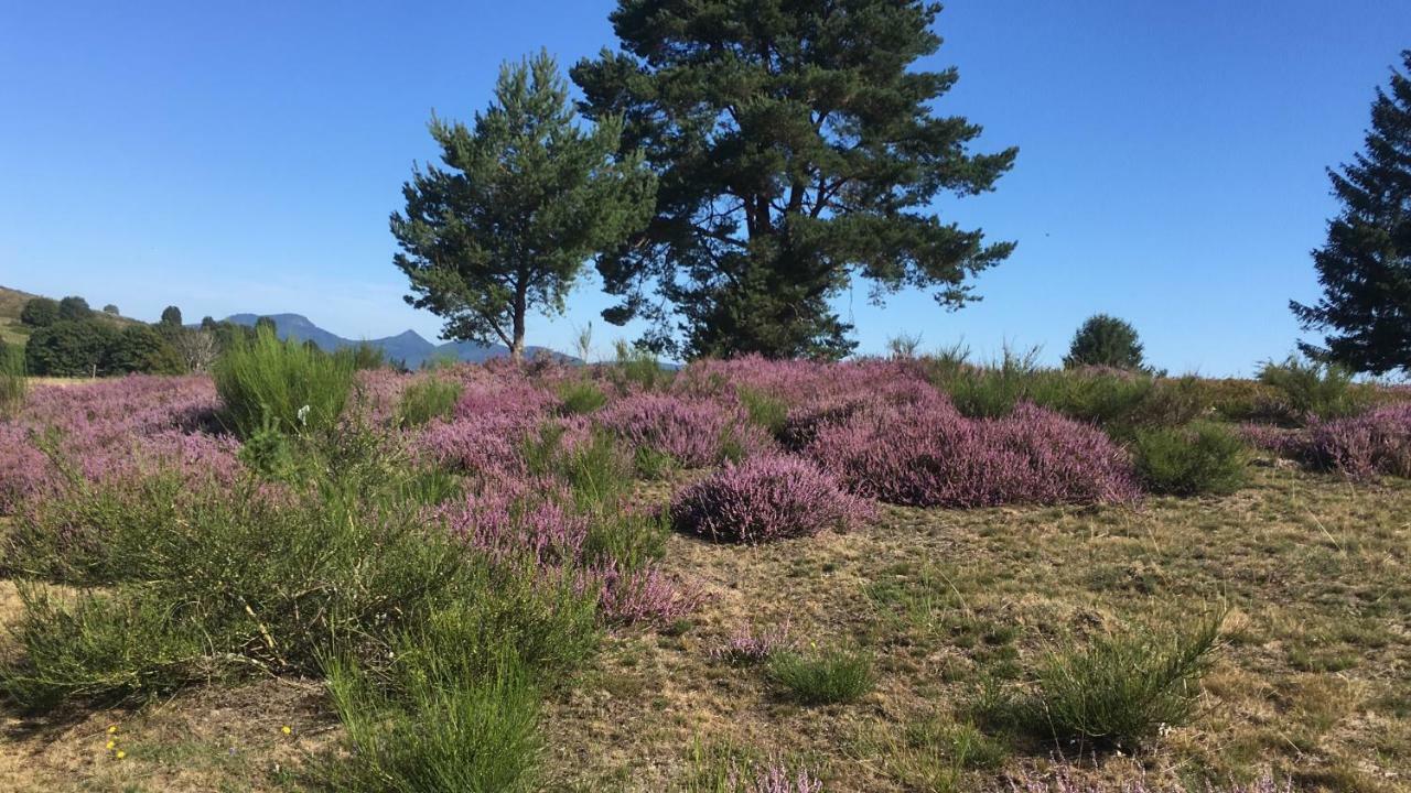 Gite De Montagne -Bellefosse Alsace Bagian luar foto