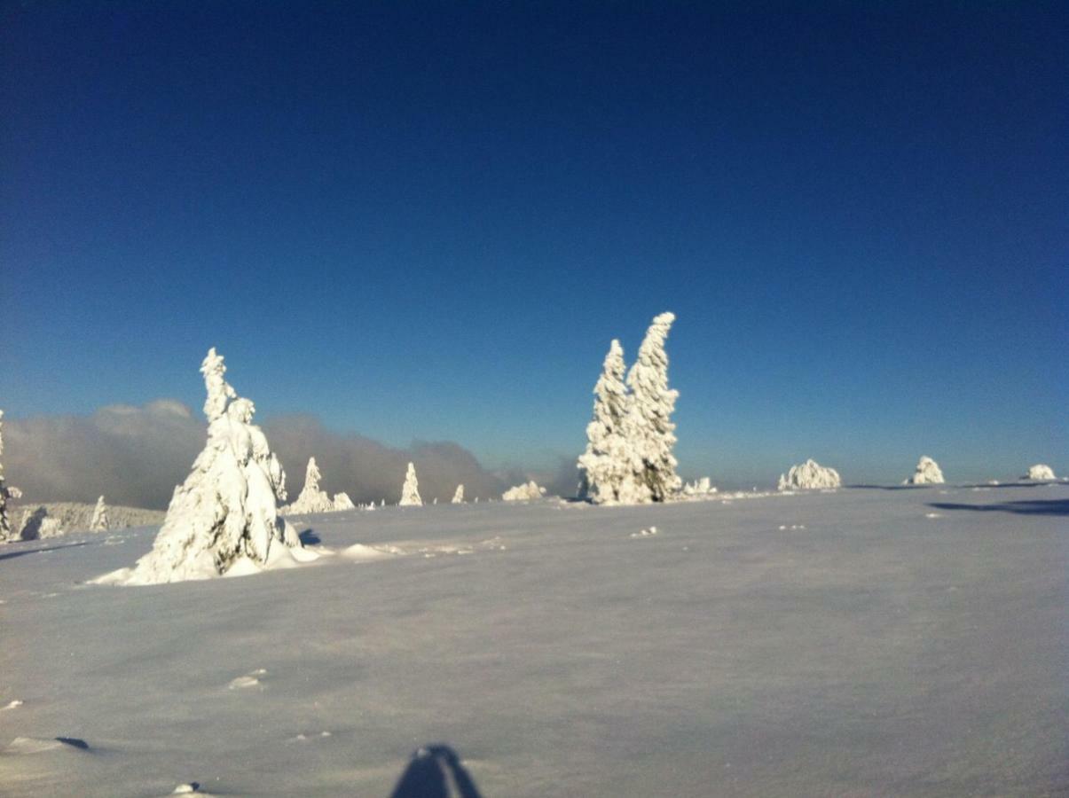 Gite De Montagne -Bellefosse Alsace Bagian luar foto